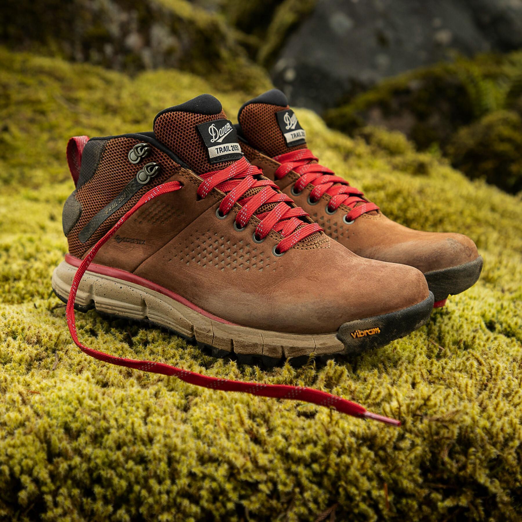 Hiking shoes Danner 2650 GTX Mid 4