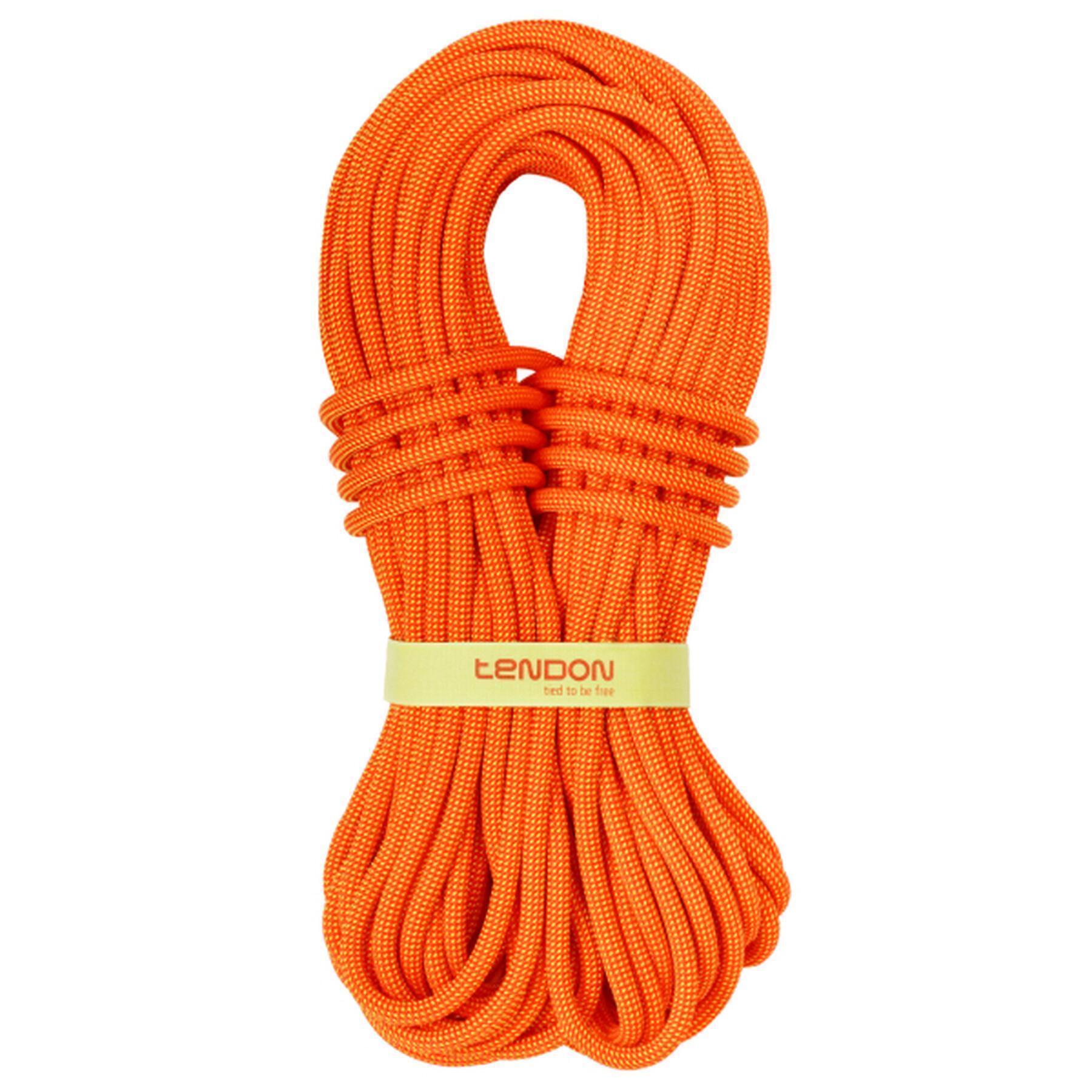 Standard rope Tendon Ambition 10.2 Tefix