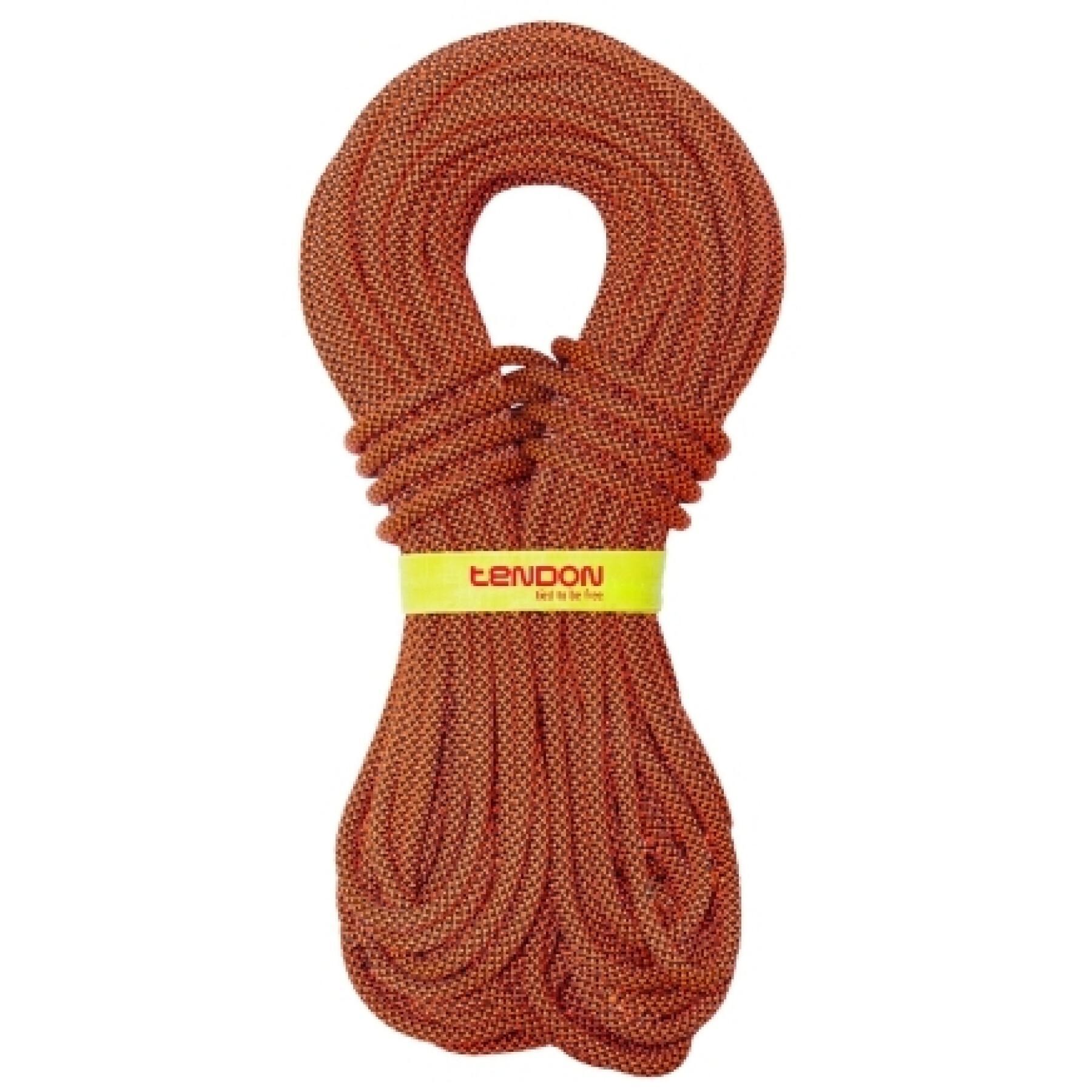 Climbing rope Tendon Indoor 9.8