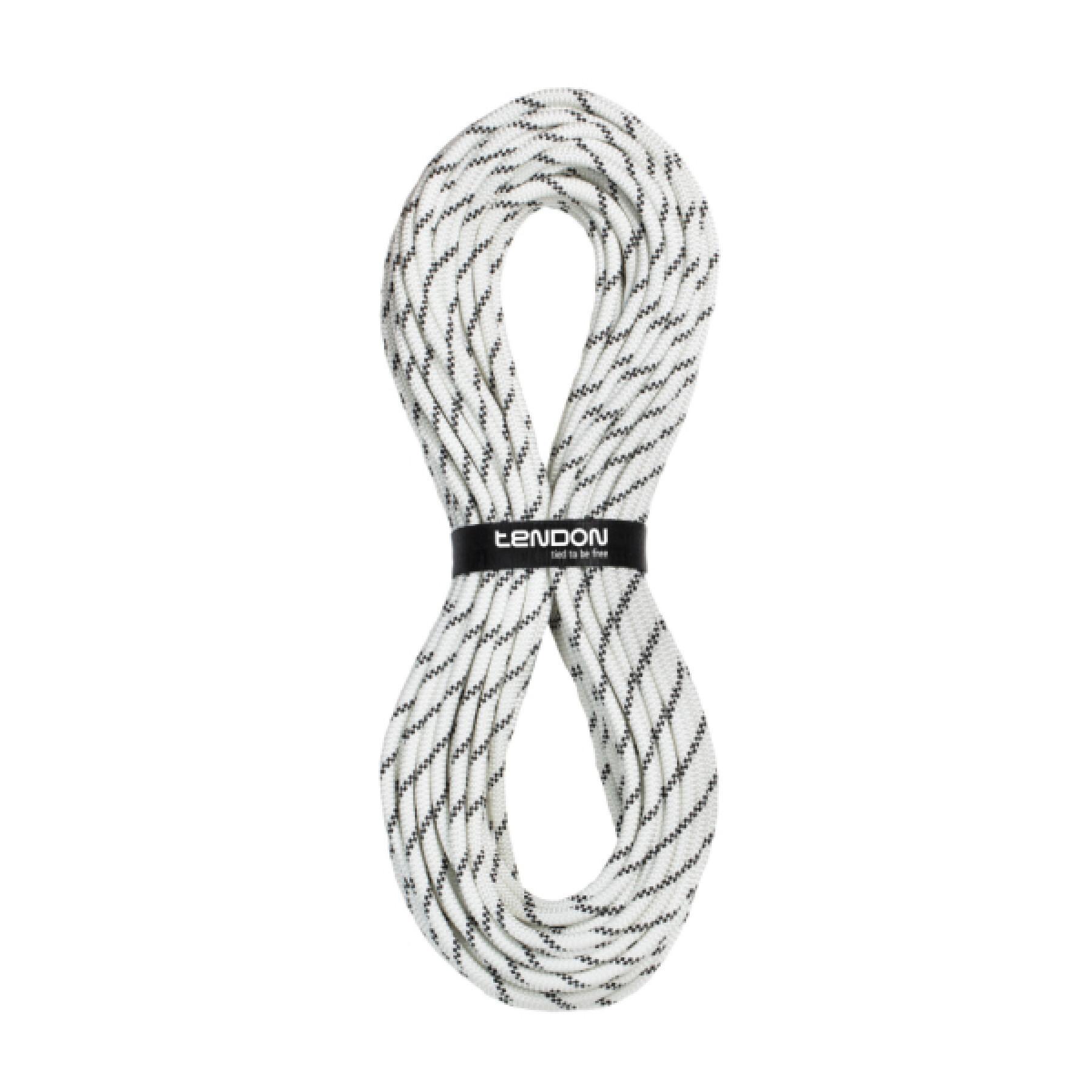 Standard static rope Tendon 10.5 mm