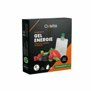 Energy gel for temperate climate - red fruits Oxsitis Energiz'heure