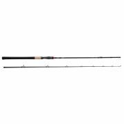 Casting rod Spro crx big bait 50-150g